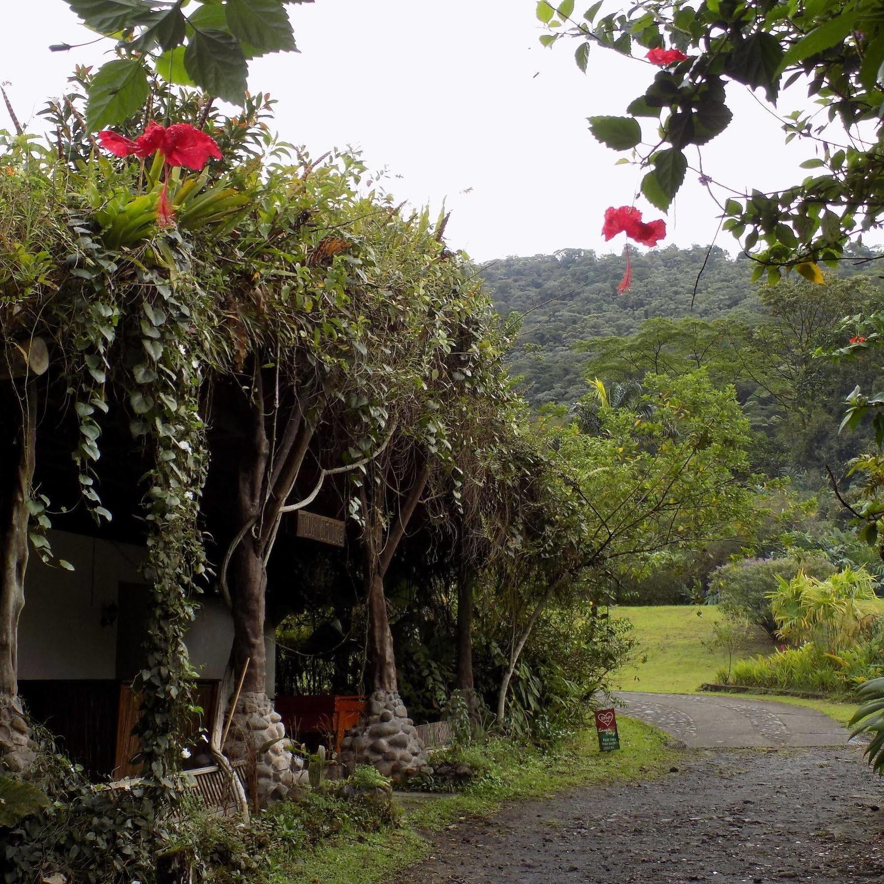 Rancho Margot Sustainable & Self Sufficient Eco Lodge El Castillo Exterior photo