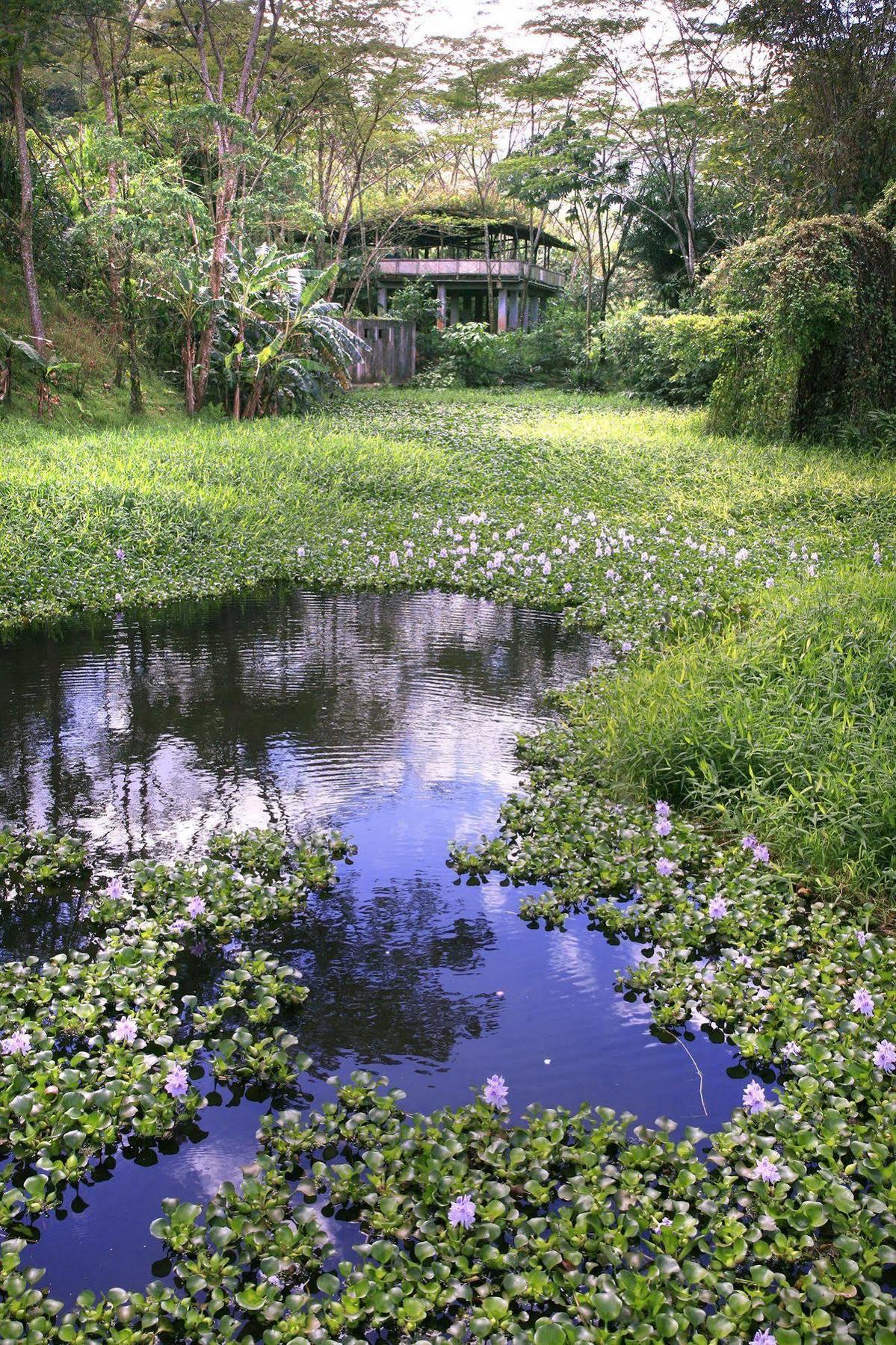 Rancho Margot Sustainable & Self Sufficient Eco Lodge El Castillo Exterior photo